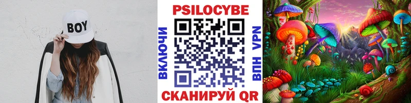 ОМГ ОМГ tor  Перевоз  Псилоцибиновые грибы мухоморы  где найти  